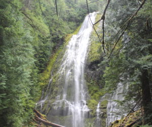 Christine Travels Oregon: Proxy Falls