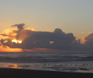 Christine ~ Settings