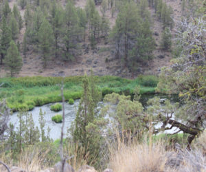 Christine ~ Travels Oregon ~ Deschutes County