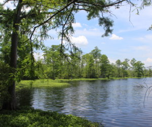 Christine ~ America the Beautiful From Sea to Shining Sea…