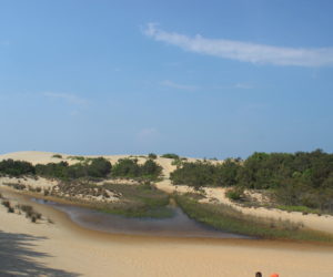 Christine ~ Travels North Carolina ~ Jockey’s Ridge State Park