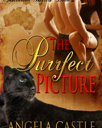 The Purrfect Picture #ParanormalRomance