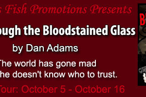 Christine Presents ~ Alice Through the Blood Stained Glass by Dan Adams