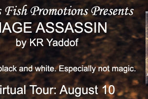 Christine Presents ~ Mage Assassin by KR Yaddof