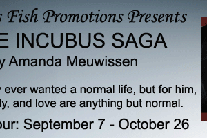 Christine Presents ~ SIDHE – The Incubus Saga by Amanda Meuwissen
