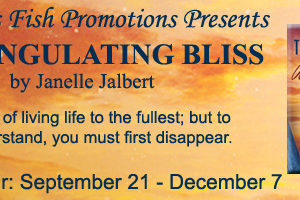 Triangulating Bliss by Janelle Jalbert ~ Presented by Christine