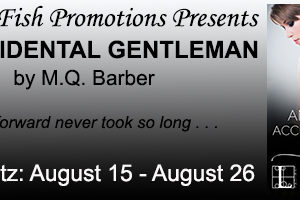 Christine Presents ~ An Accidental Gentleman by M. Q. Barber
