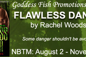Christine Presents ~ Flawless Danger by Rachel Woods