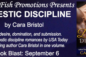 Christine Presents ~ Domestic Discipline by Cara Bristol