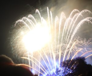 What? I Don’t Watch TV!