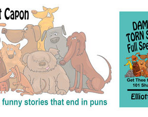 Christine Presents ~ Damn the Torn Speedos Full Speed Ahead by Elliott Capon