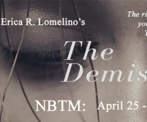 Christine Presents ~ The Demise by Erica R. Lomelino