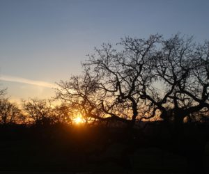 Hobbies When Not Writing: Does Such a Thing Exist?