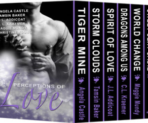 Perceptions of Love ~ Boxed Set Free on Kindle Unlimited