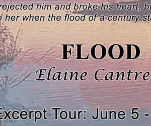 Christine Presents ~ Flood by Elaine Cantrell