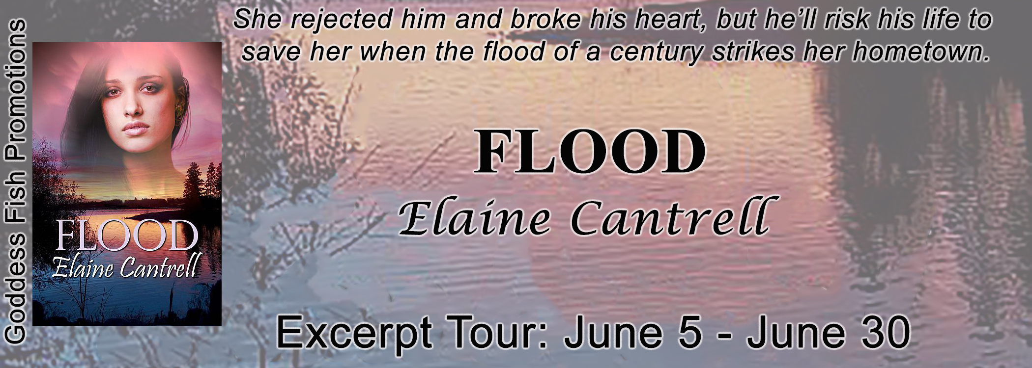 TourBanner_Flood
