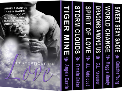 Perceptions of Love Boxed Set
