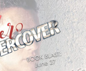 Christine Presents ~ Hero Undercover Boxed Set