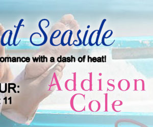 Christine Presents ~ Hearts at Seaside by Addison Cole