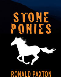 Stone Ponies #Mystery #Crime