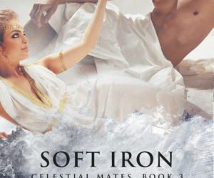 Soft Iron by Megan Slayer