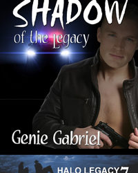 Shadow of the Legacy #ContemporaryRomance