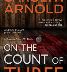 On the Count of Three by Carolyn Arnold