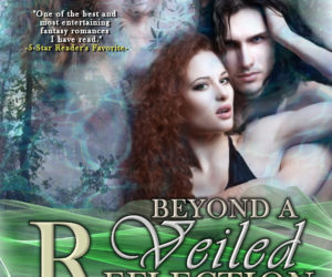 Beyond a Veiled Reflection by Christine Church