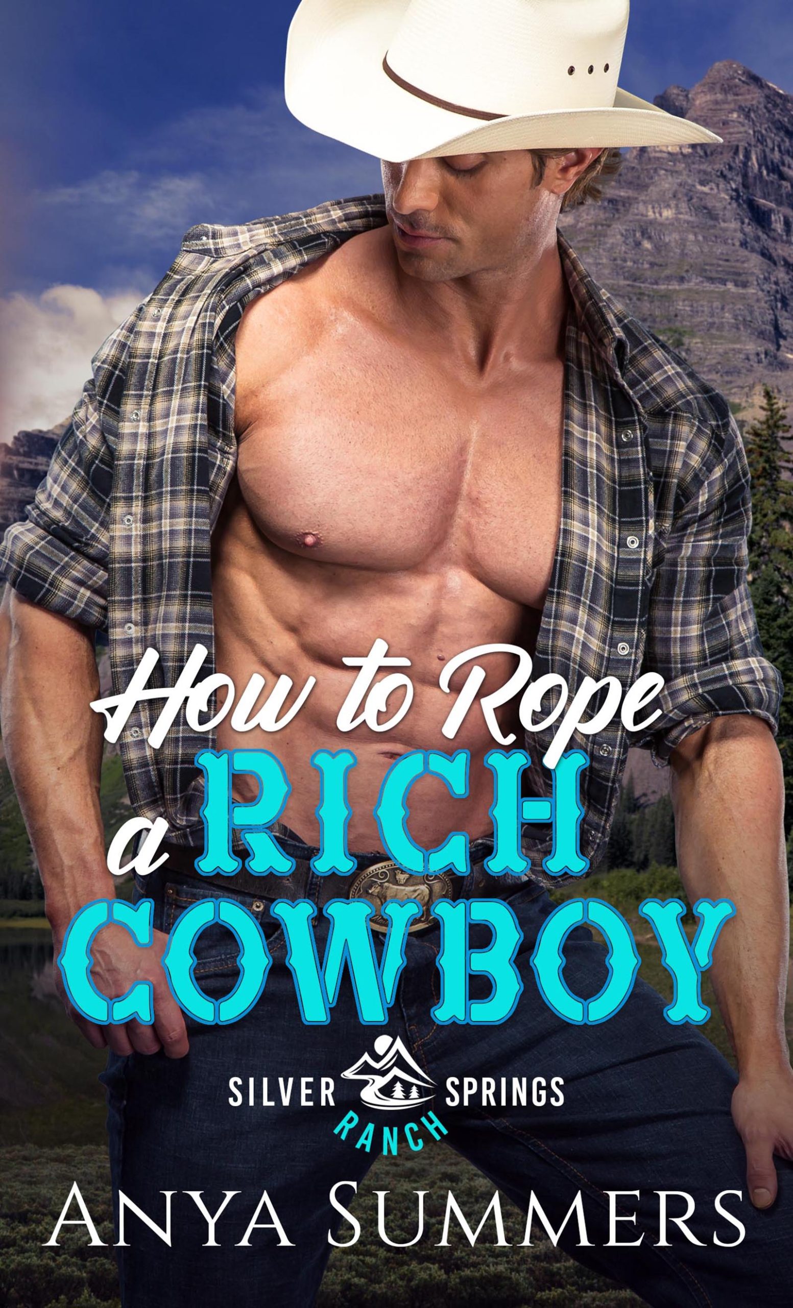HOW TO ROPE A RICH COWBOY by Anya Summers