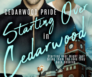 Starting Over in Cedarwood By Megan Slayer