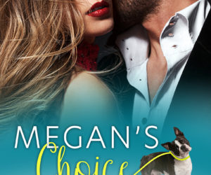 Megan’s Choice by Darci Garcia