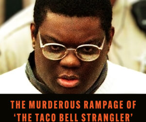 BAD HENRY: THE MURDEROUS RAMPAGE OF THE TACO BELL STRANGLER by Ron Chepesiuk