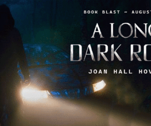 THE LONG DARK ROAD by Joan Hall Hovey